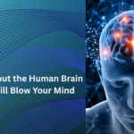 human brain facts
